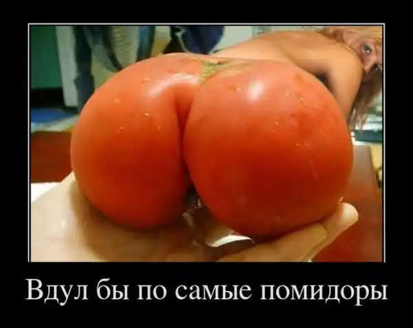 Демотиваторы (30 фото)