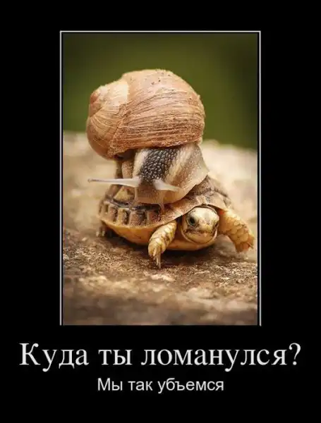 Демотиваторы (30 фото)