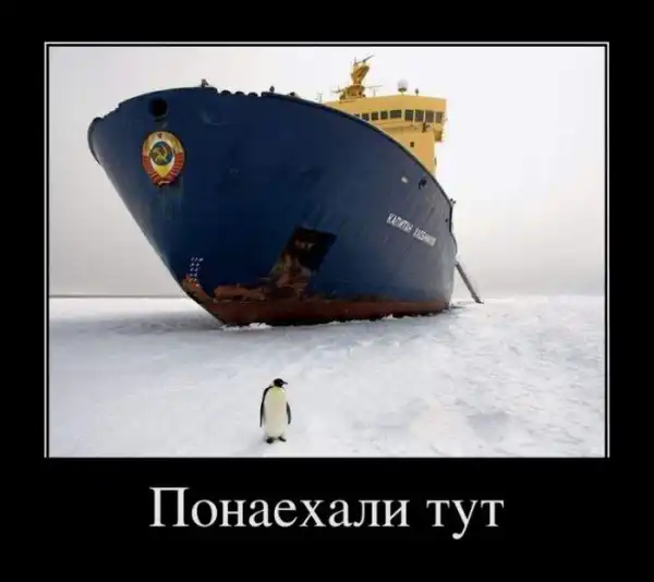 Демотиваторы (30 фото)