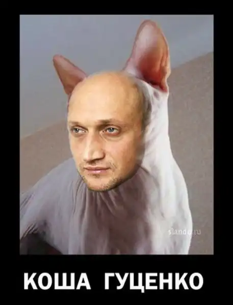 Демотиваторы (30 фото)