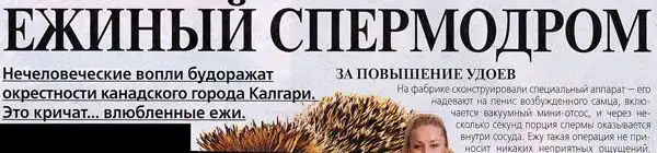Заголовки Спид-Инфо Заголовки Спид-Инфо
