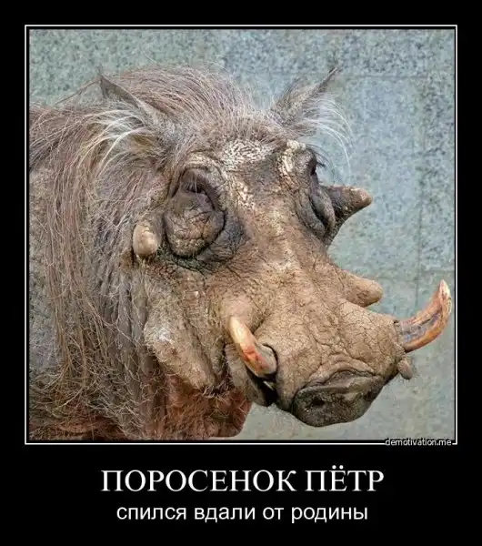 Демотиваторы (4ч)