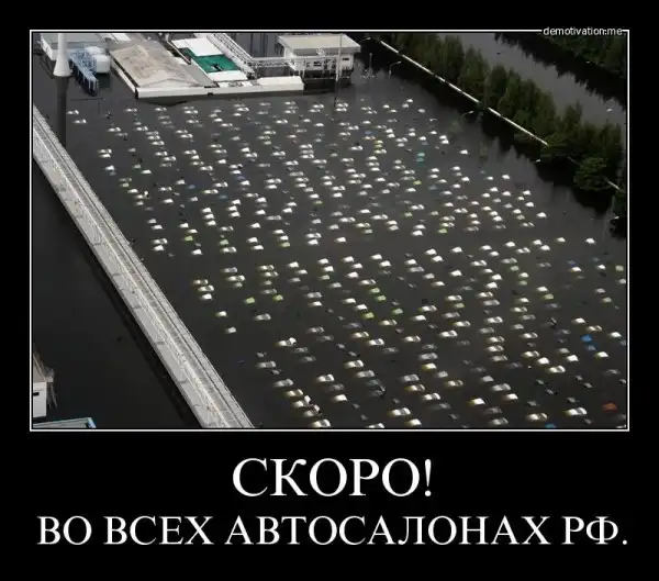 Демотиваторы (4ч)