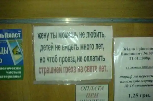 Очередная позитивная фотоподборка.