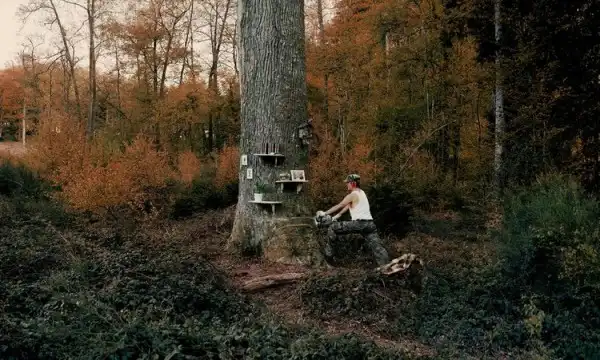 Потрясающие фотоработы!!!