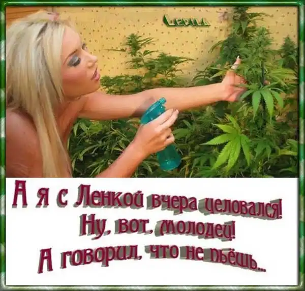 Коротко о сексе.
