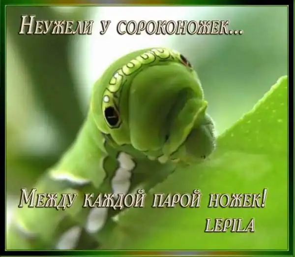 Коротко о сексе.