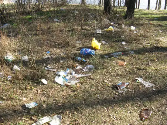Во что мы превращаем планету?
