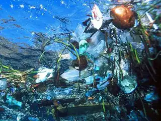Во что мы превращаем планету?