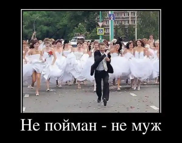 Демотиваторы (30 фото)