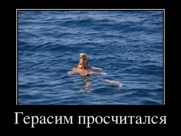 Демотиваторы (30 фото)