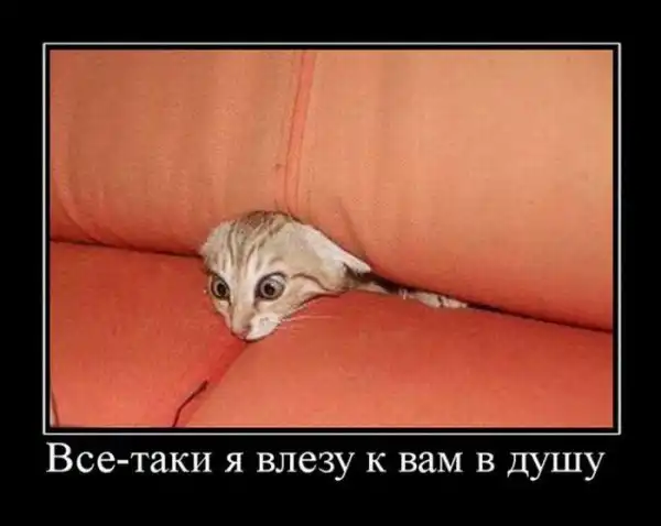 Демотиваторы (30 фото)