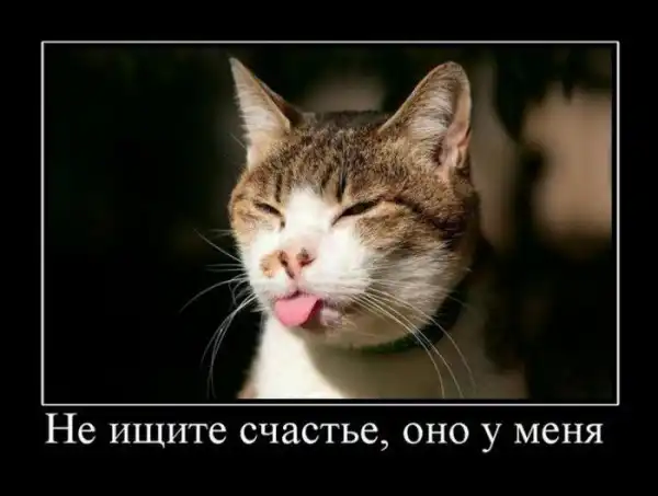 Демотиваторы (30 фото)