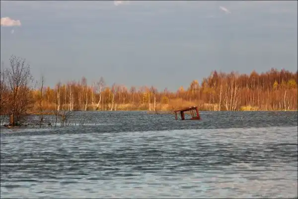 Заброшенные торфяники в Московской области