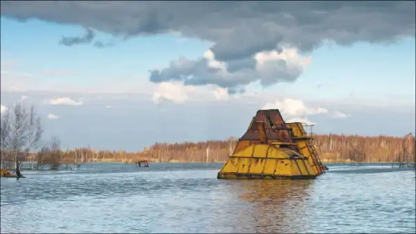 Заброшенные торфяники в Московской области