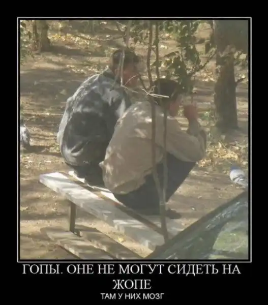 Демотиваторы 2