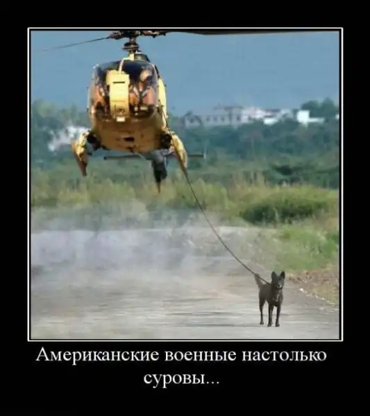Демотиваторы 2
