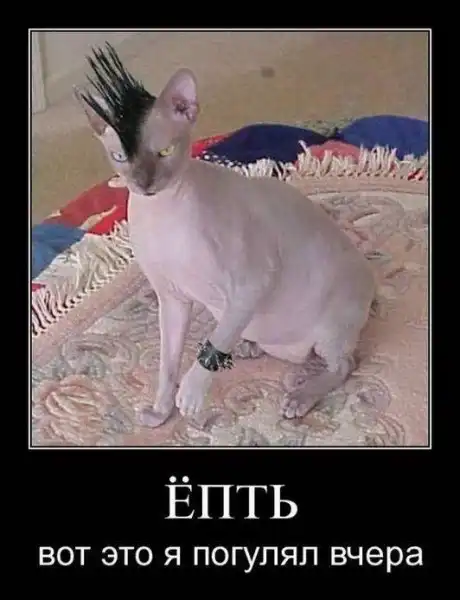 Демотиваторы 2
