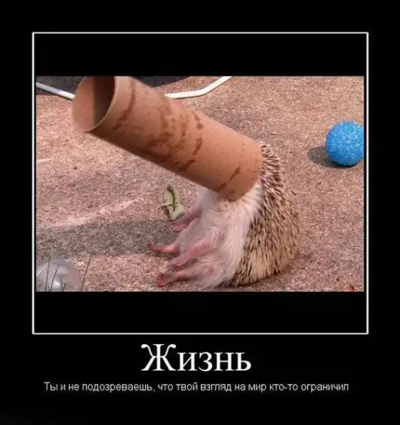 Демотиваторы 2