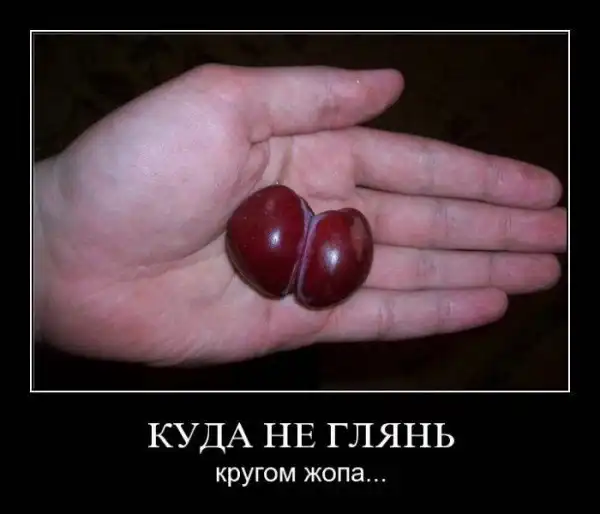 Демотиваторы 2