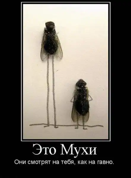 Демотиваторы 2
