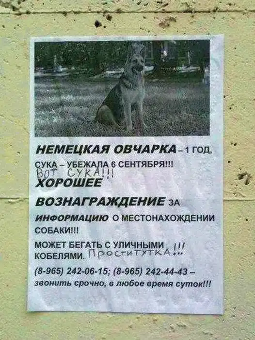 Большая подборка разных маразмов Большая подборка разных маразмов