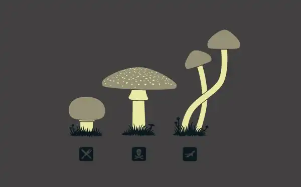 Забавные рисунки