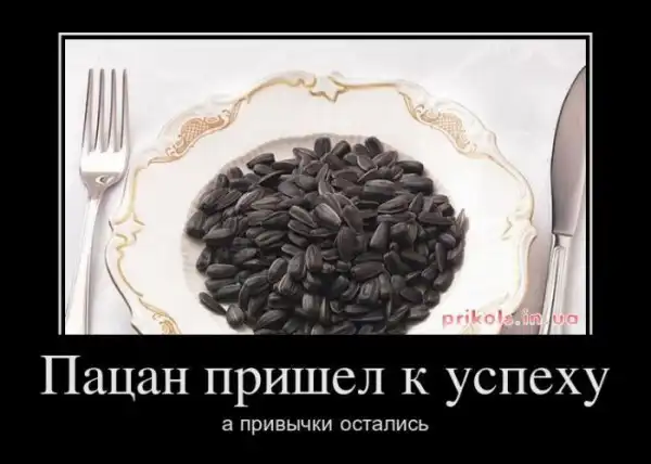 Демотиваторы (28 фото)