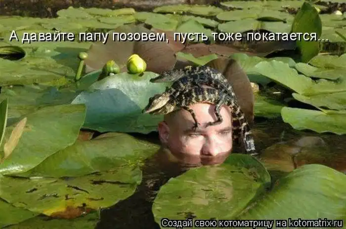 Лучшие котоматрицы недели Лучшие котоматрицы недели