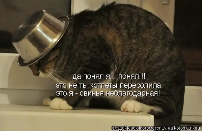 Лучшие котоматрицы недели Лучшие котоматрицы недели