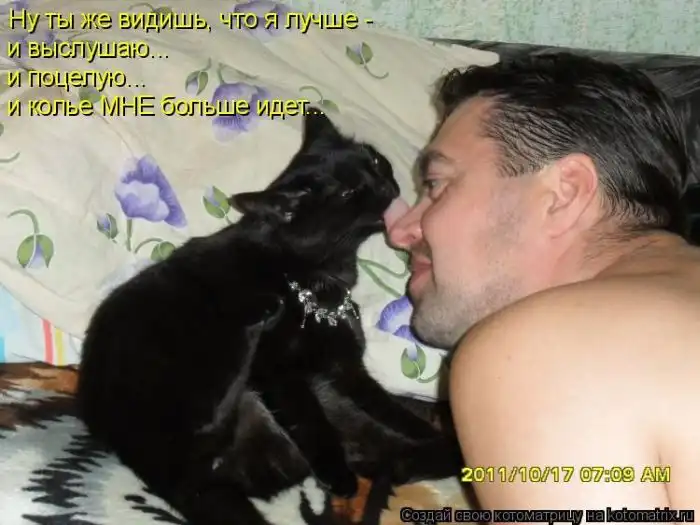Лучшие котоматрицы недели Лучшие котоматрицы недели