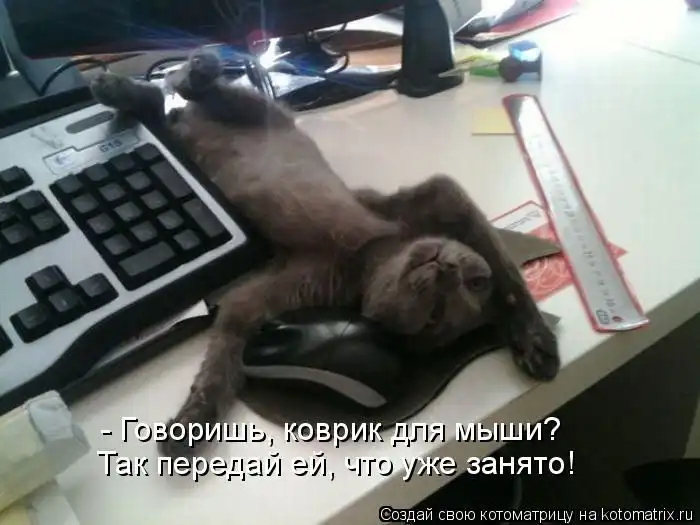 Лучшие котоматрицы недели Лучшие котоматрицы недели