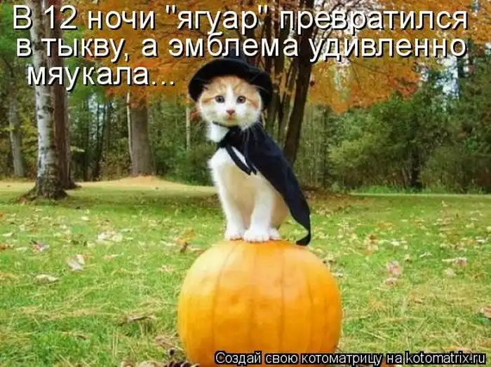 Лучшие котоматрицы недели Лучшие котоматрицы недели