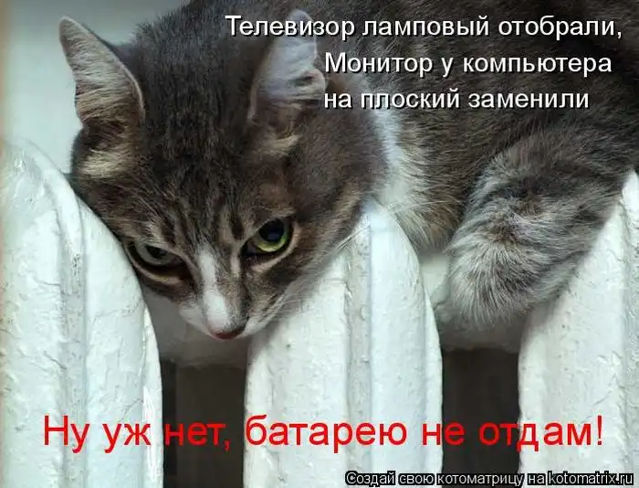 Лучшие котоматрицы недели Лучшие котоматрицы недели
