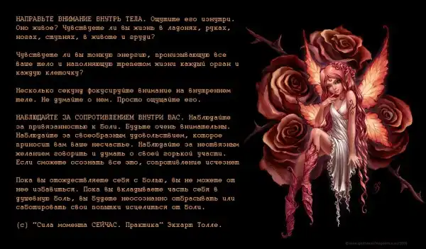 Цитаты. (1)