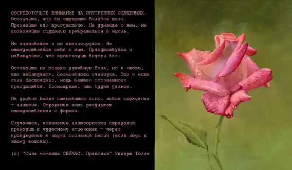 Цитаты. (1)