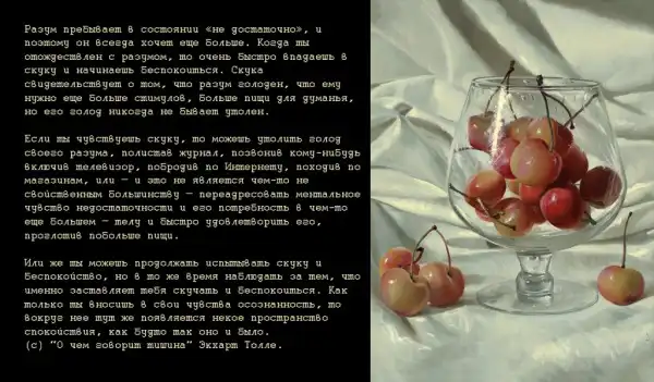 Цитаты. (1)