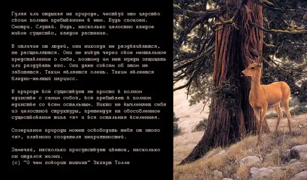 Цитаты.(2)