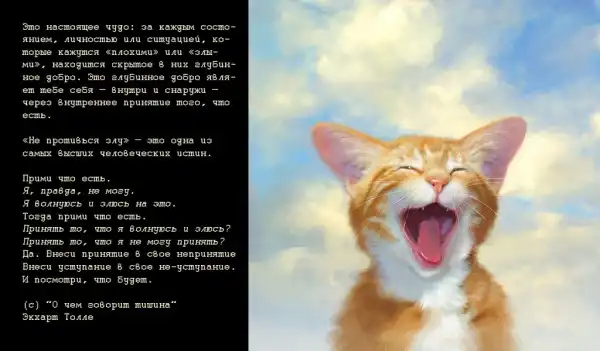 Цитаты.(2)