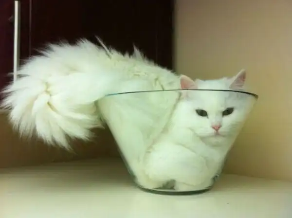 Рандомная фотоподборка