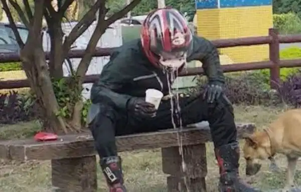 Немного фэйлов