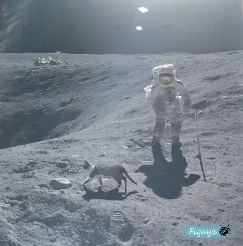 Смешная фотоподборка Смешная фотоподборка