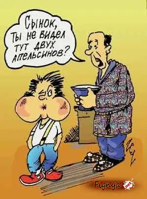 Смешная фотоподборка Смешная фотоподборка