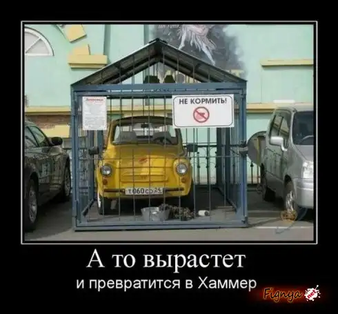 Смешная фотоподборка Смешная фотоподборка