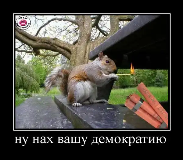 картинки с надписями