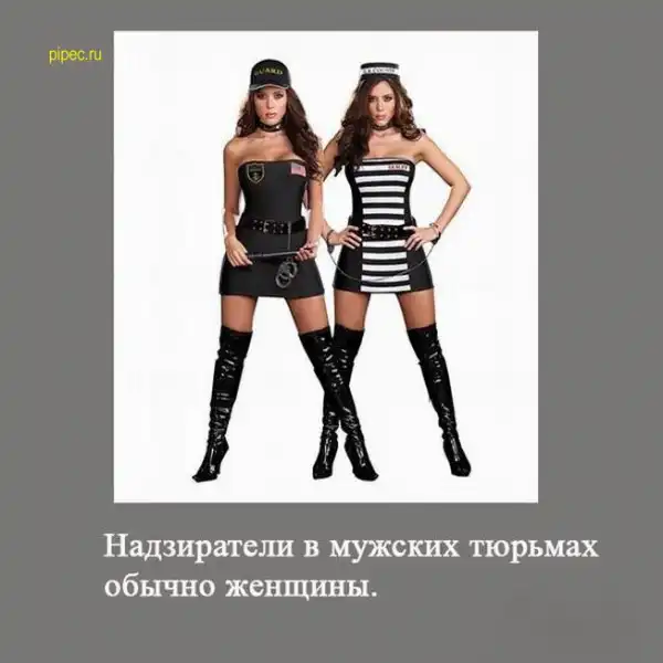 Забавные надписи