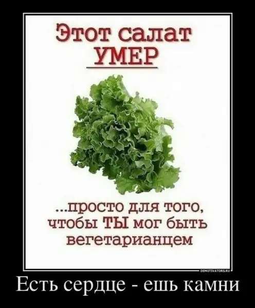 Картинки в черной рамке