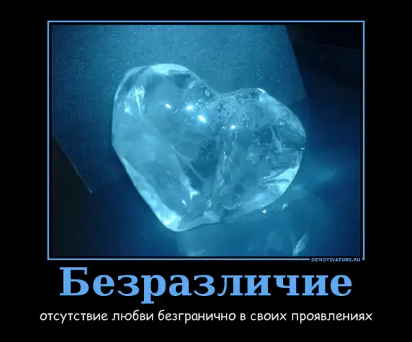 Картинки в черной рамке