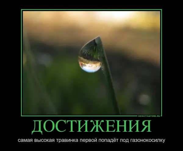 Картинки в черной рамке
