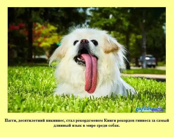 Знаете ли Вы? Знаете ли Вы?